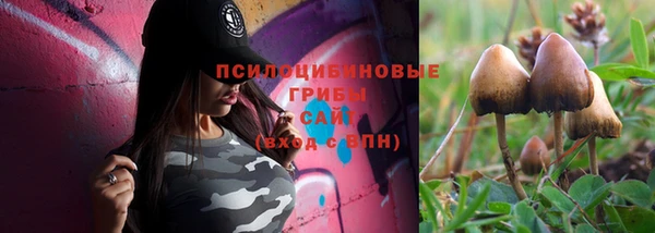 ешки Переславль-Залесский