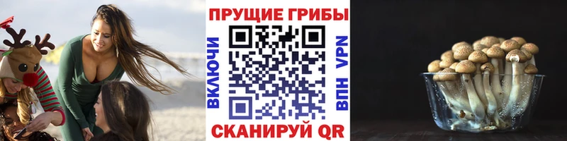 Галлюциногенные грибы мухоморы Нижние Серги